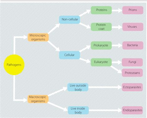 disease causing agents are called quizlet